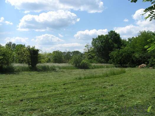 Grundstück zum Kauf 75.000 € 6.000 m² Grundstück Tárnokréti 9165
