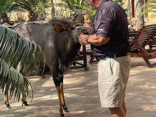 Mehrfamilienhaus zum Kauf 750.000 € 18 Zimmer 540 m² 5.000 m² Grundstück Golferslodge 167 @ Zebula 167 Northern Provice