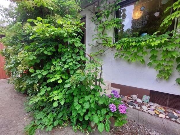 Einfamilienhaus zum Kauf 429.000 € 6 Zimmer 143 m² 726 m² Grundstück Steinbach Kleinsendelbach 91077