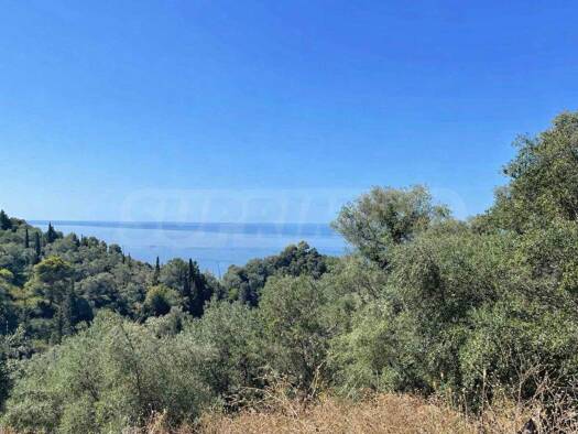 Grundstück zum Kauf 409.000 € Pelekas