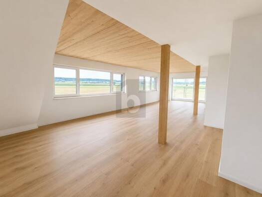 Wohnung zur Miete 1.290 € 3,5 Zimmer 102 m² 3. Geschoss Moosheim Bad Saulgau 88348