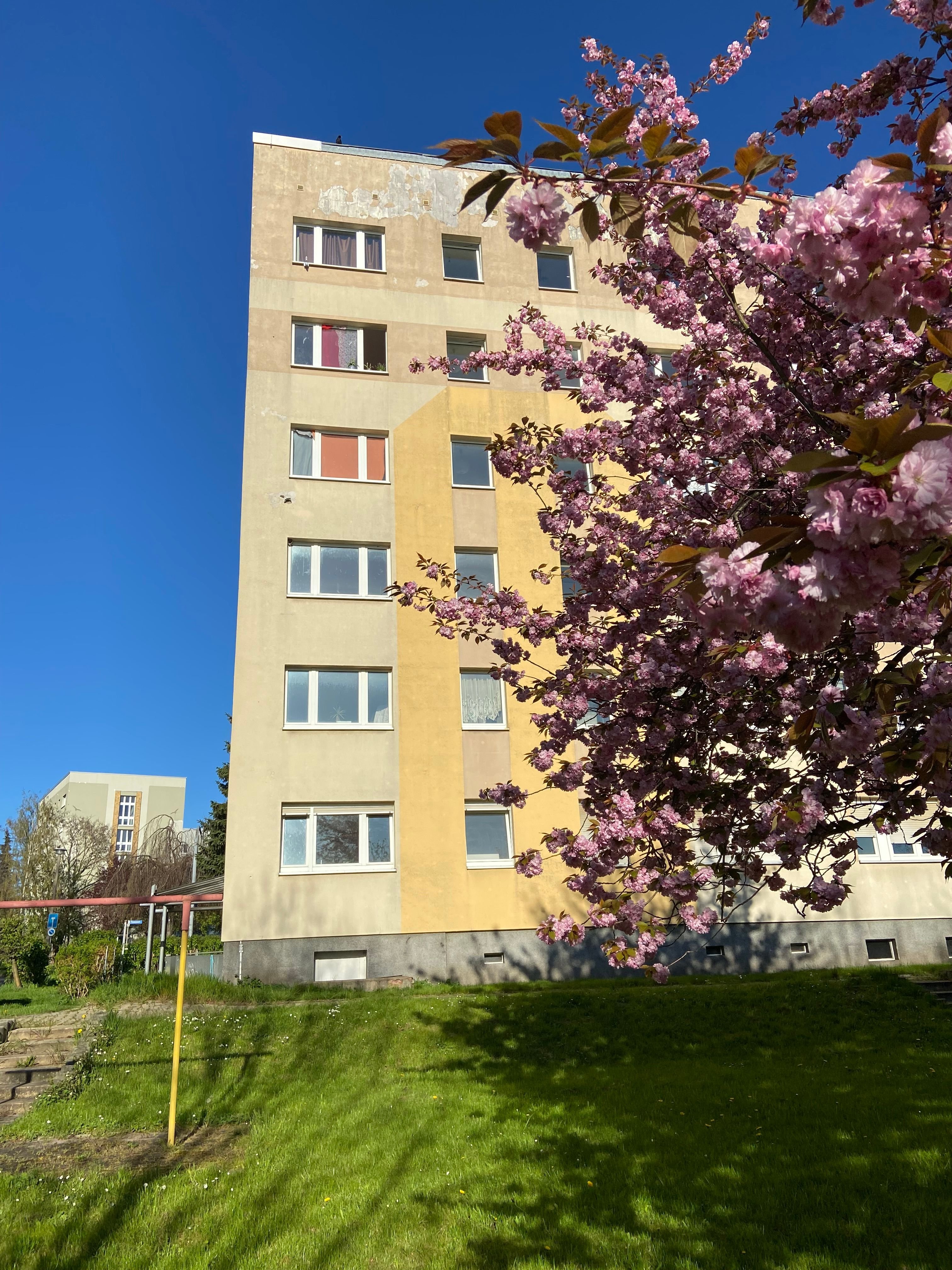 Wohnung zur Miete 175 € 1 Zimmer 27 m²<br/>Wohnfläche 3.<br/>Geschoss ab sofort<br/>Verfügbarkeit Platanenstraße Südost Altenburg 04600