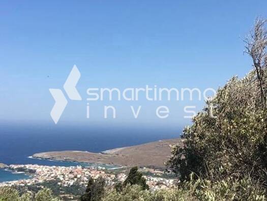 Land-/Forstwirtschaft zum Kauf 230.000 € Hora, Andros 845 00