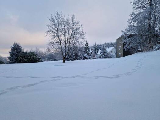 Wohnung zum Kauf provisionsfrei 125.000 € 1 Zimmer 42 m² Weltringpark 3 Winterberg 59955