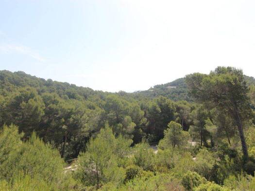 Grundstück zum Kauf 250.000 € 1.000 m² Grundstück Javea 03730