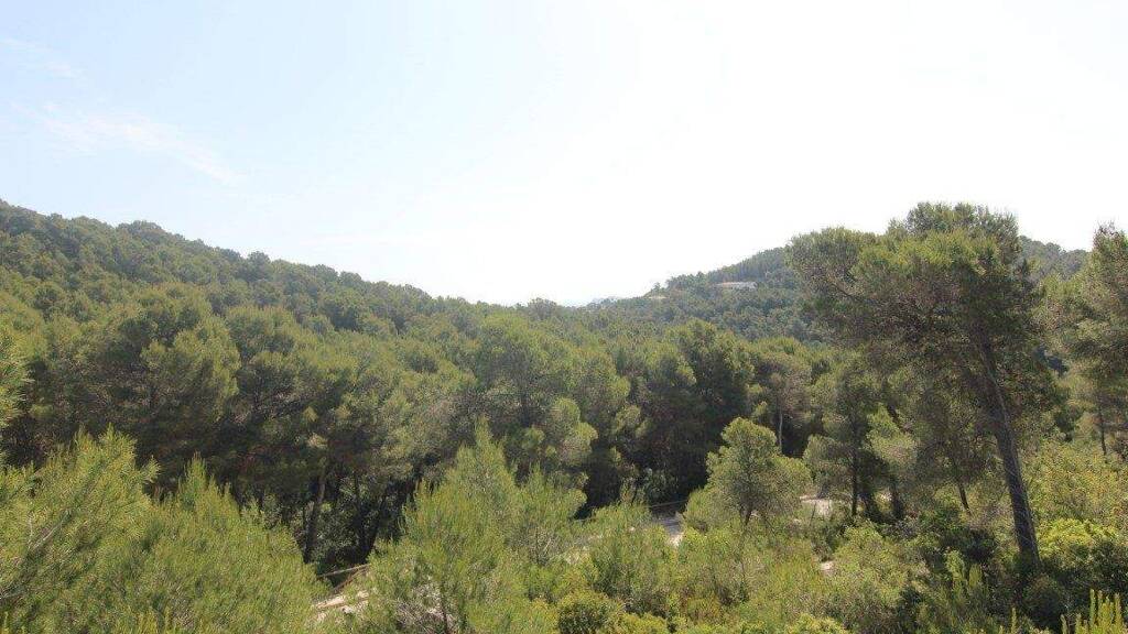 Grundstück zum Kauf 250.000 € 1.000 m² Grundstück Javea 03730