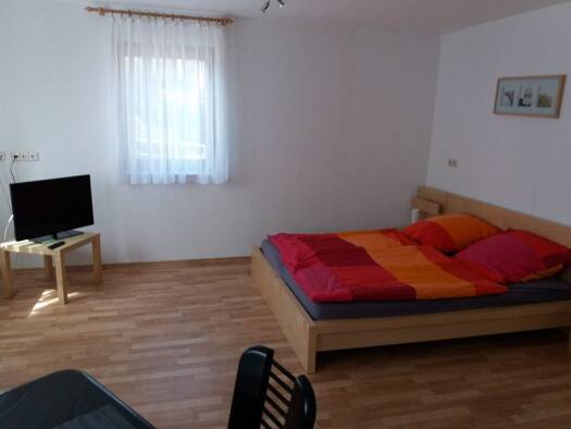 Wohnung zur Miete 460 € 1 Zimmer 38 m² frei ab sofort Dilsberg Neckargemünd 69151