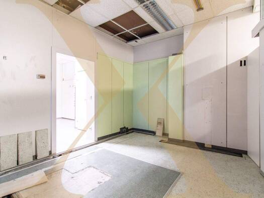 Büro zur Miete Grieskirchen 4710