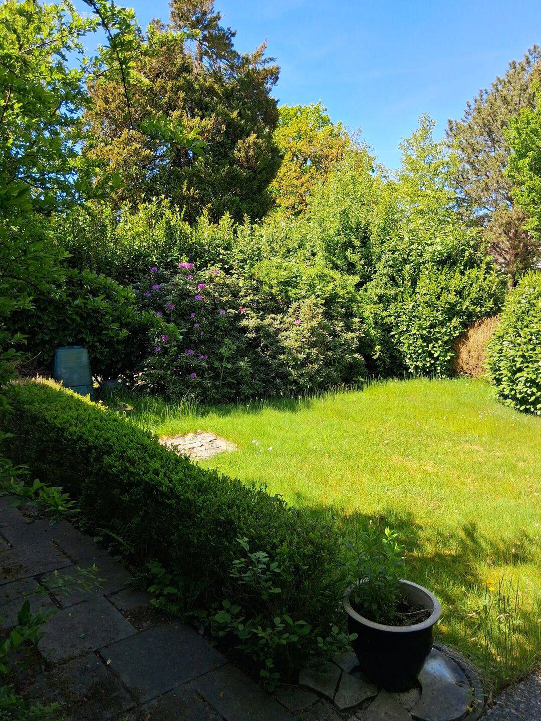 Einfamilienhaus zum Kauf