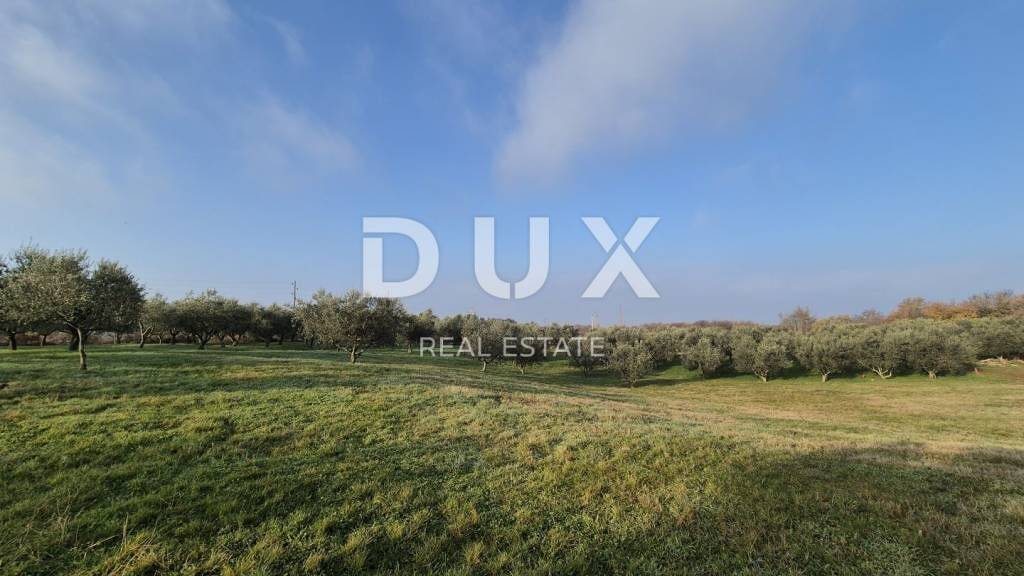 Land-/Forstwirtschaft zum Kauf 250.000 € Buje