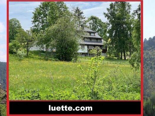 Haus zum Kauf 778.000 € 6 Zimmer 280 m² 850 m² Grundstück Grafenhausen Nähe Schluchsee, Feldberg, Bauerei Waldhaus 79859