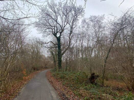 Forstwirtschaft zum Kauf 20.000 € 8.357 m² Grundstück Heiligenstedten 25524