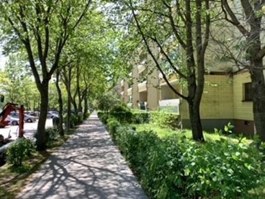 Studio zur Miete 410 € 1 Zimmer 32,6 m² 5. Geschoss frei ab 18.04.2026 Blumberger Damm 185 Marzahn Berlin 12687