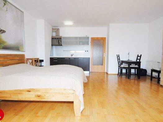 Studio zur Miete 650 € 1 Zimmer 42 m² Schwechat 2320