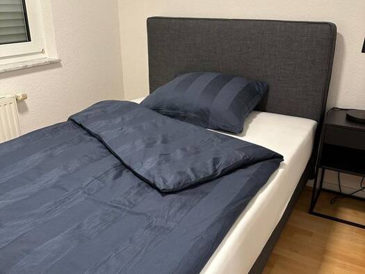 Wohnung zur Miete 1.390 € 2 Zimmer 45 m² EG Deutz Köln 50679