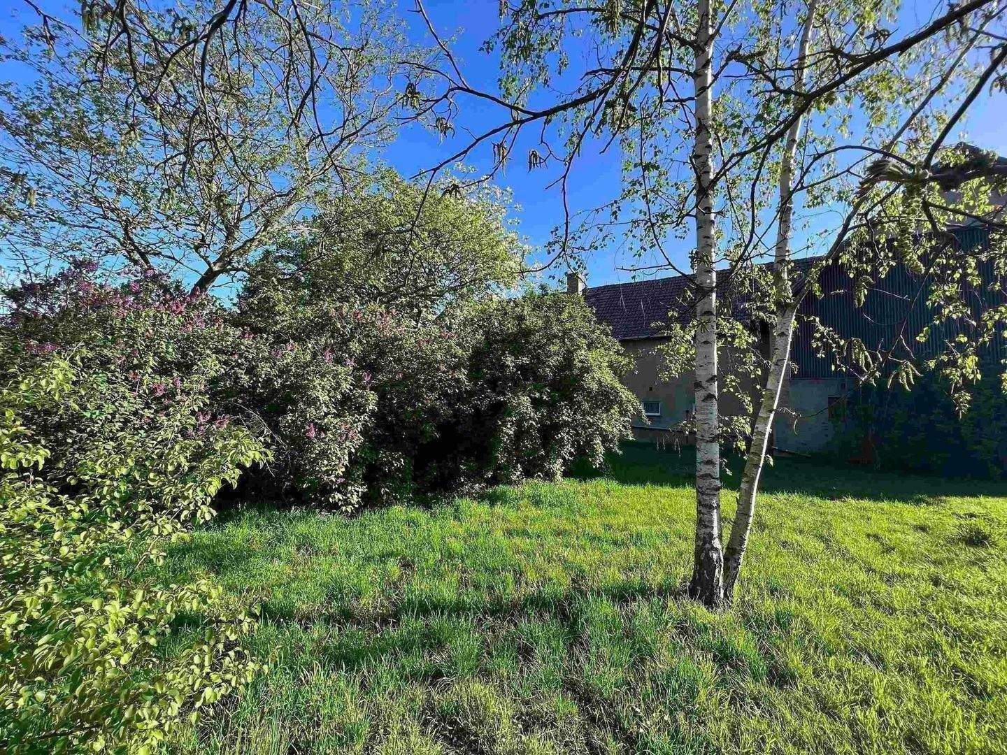 Immobilie in Machern - Großes, ländliches EFH mit Scheune und großem Garten  - Bild 4