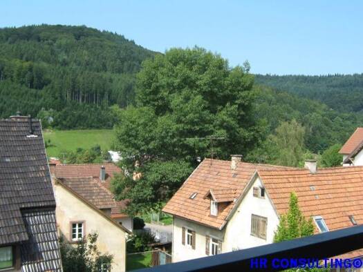 Wohnung zur Miete 800 € 4 Zimmer 115 m² frei ab sofort Seelbach Seelbach 77960