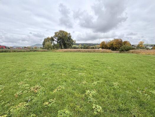 Land-/Forstwirtschaft zum Kauf 40.000 € 4.426 m² Grundstück Bopfingen Bopfingen 73441