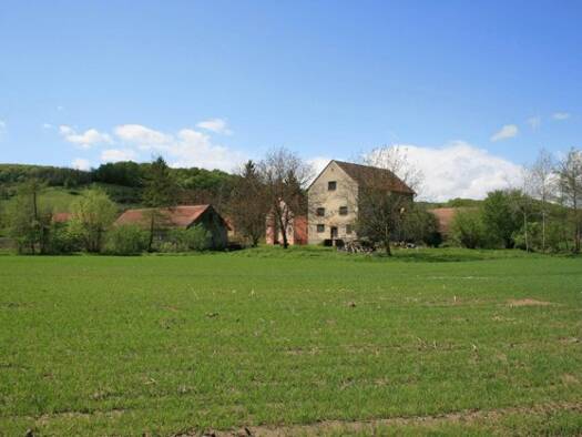 Einfamilienhaus zum Kauf 500.000 € 12 Zimmer 300 m² 50.000 m² Grundstück Brestovac 34322