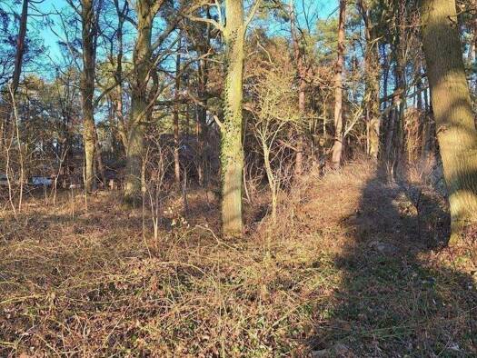 Grundstück zum Kauf 59.000 € 1.750 m² Grundstück Hitzacker 29456