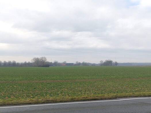 Land-/Forstwirtschaft zum Kauf 1.500.000 € 117.214 m² Grundstück Roland Beckum 59269