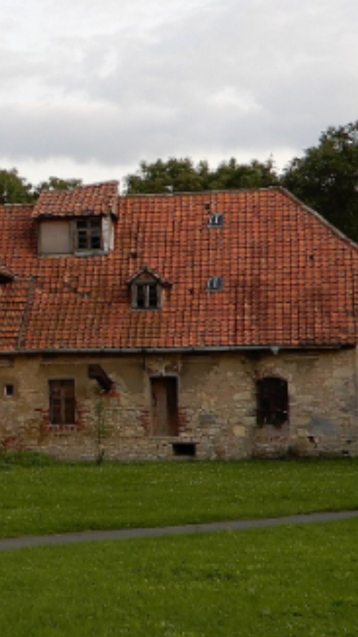 Mehrfamilienhaus zum Kauf provisionsfrei 150.000 € 20 Zimmer 500 m²<br/>Wohnfläche 300 m²<br/>Grundstück Witteanger 14 Reinstedt Falkenstein im Harz 06463