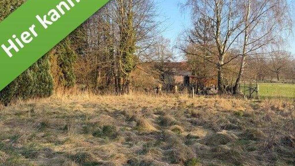 Bungalow zum Kauf - Erstbezug provisionsfrei 415.250 € 5 Zimmer 133 m² 620 m² Grundstück Hämelerwalder Straße Sievershausen Lehrte 31275