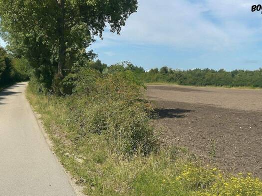 Grundstück zum Kauf 209.000 € 620 m² Grundstück Illmitz 7142