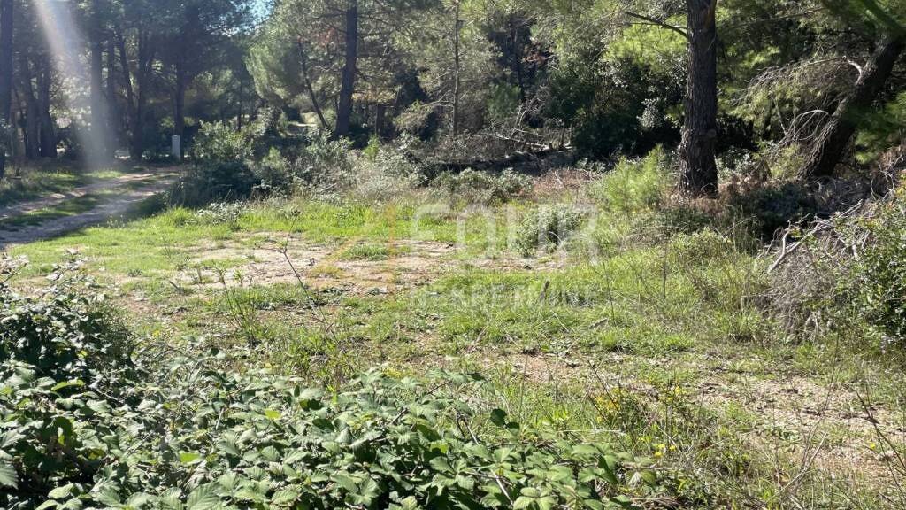 Land-/Forstwirtschaft zum Kauf 156.000 € Vir Vir