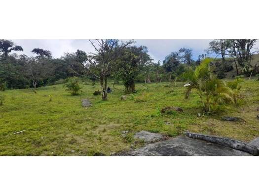 Grundstück zum Kauf 69.697.900 € Capira