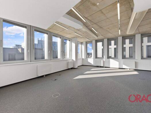 Bürofläche zur Miete 17,30 € 520 m² Bürofläche Wien 1030