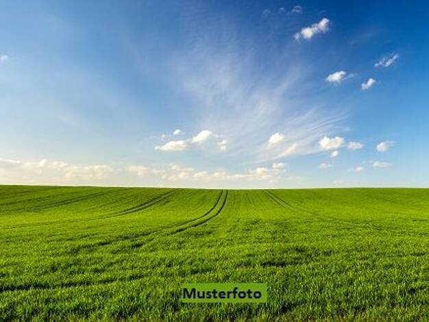 Land-/Forstwirtschaft zum Kauf 4.000 € 1.256 m² Grundstück Bietigheim 76467