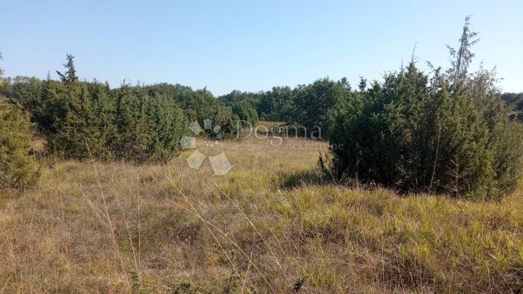 Land-/Forstwirtschaft zum Kauf 40.000 € Pazin