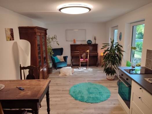 Wohnung zur Miete 450 € 1 Zimmer 38 m² Geschoss -1/1 frei ab 01.05.2026 Wambach Schlangenbad 65388