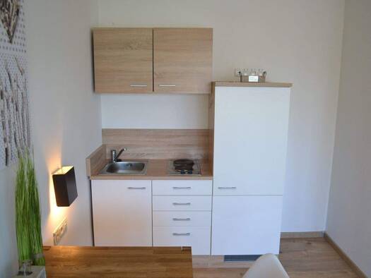 Studio zur Miete 395 € 1 Zimmer 35 m² frei ab sofort Eschenbach Eschenbach i.d.OPf. 92676