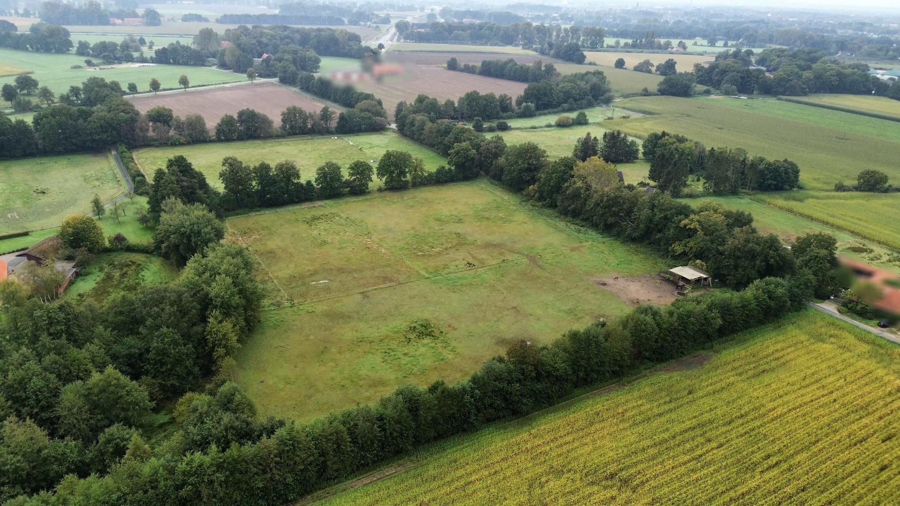 Landwirtschaftliche Fläche zum Kauf 31.136 m²<br/>Grundstück Wahlbezirk 201 Nordhorn 48531