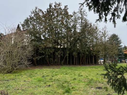 Grundstück zum Kauf 245.900 € 409 m² Grundstück Biesdorf Berlin 12683