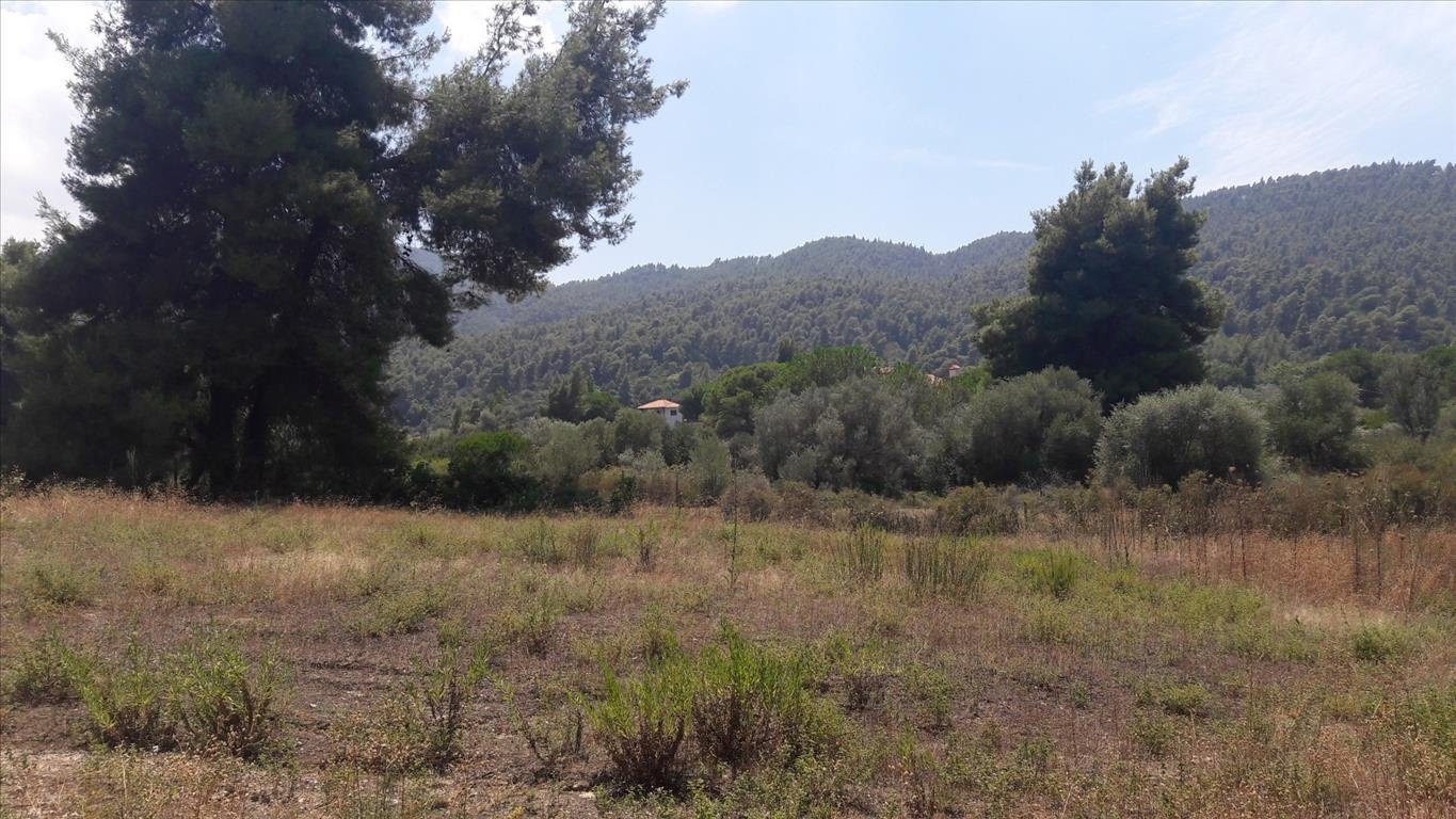 Land-/Forstwirtschaft zum Kauf 380.000 € 6.013 m²<br/>Grundstück Chalkidiki