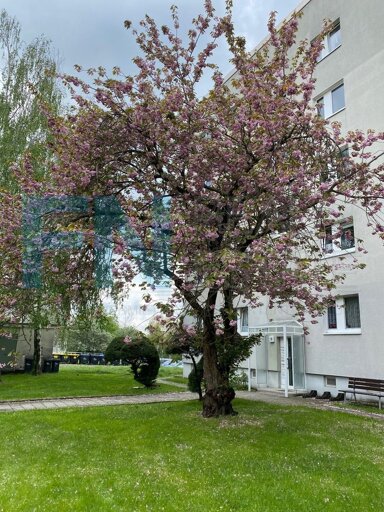 Wohnung zur Miete 330 € 2 Zimmer 47,4 m² 3. Geschoss Goethestraße 17 Geithain Geithain 04643