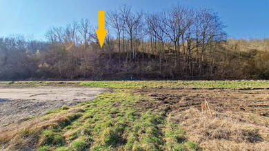 Land/Forstwirtschaft kaufen in Droyßig Weißenborn immowelt