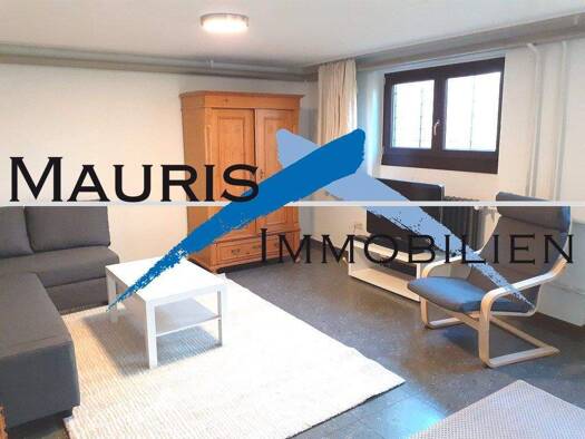 Wohnung zur Miete 450 € 1,5 Zimmer 50 m² UG frei ab sofort Mozartstraße Ilvesheim 68549