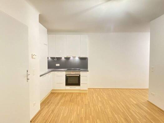 Wohnung zur Miete 485 € 3 Zimmer 49,9 m² 2. Geschoss frei ab sofort Martin Johann Schmidt Str. 3 Krems an der Donau 3500
