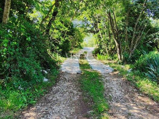 Wohn- und Gewerbegrundstück zum Kauf 115.000 € Drenje, Raša Raša 52220