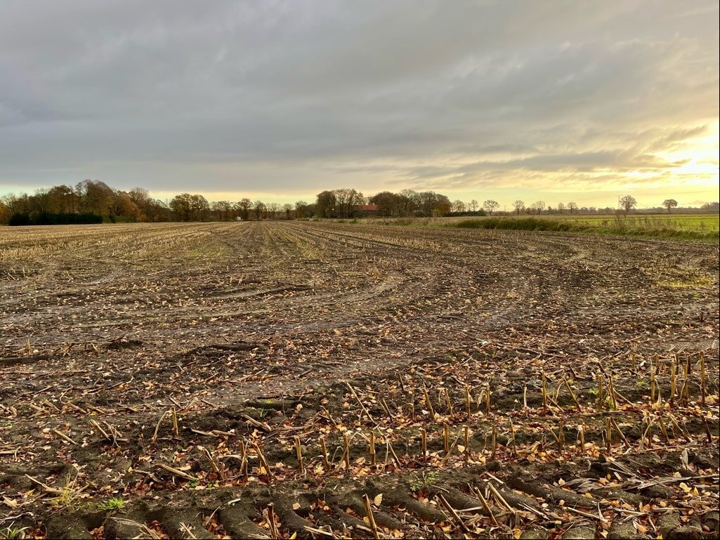 Landwirtschaftliche Fläche zum Kauf 28.737 m²<br/>Grundstück Emlichheim Emlichheim 49824