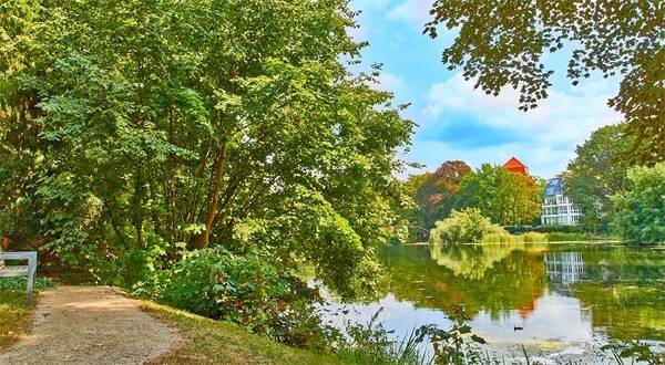 Property thumbnail 6