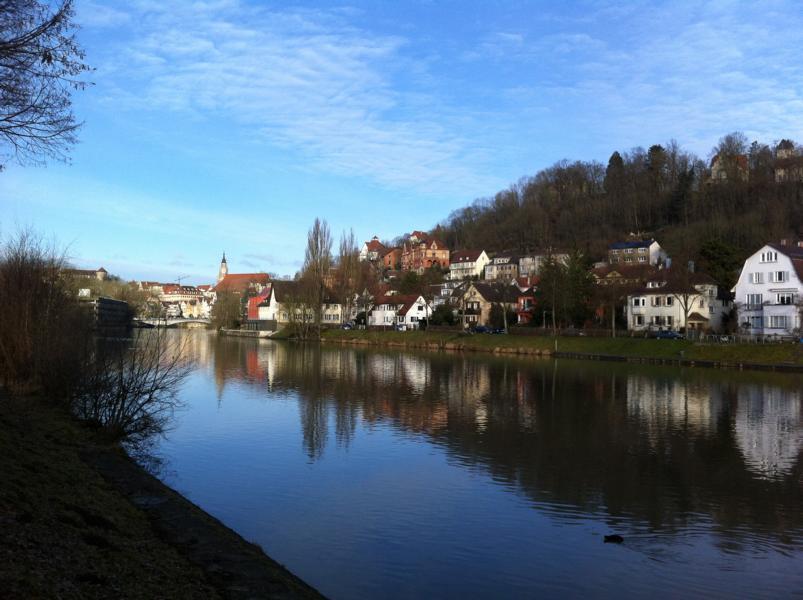 Mehrfamilienhaus zum Kauf als Kapitalanlage geeignet 17 Zimmer 397,5 m²<br/>Wohnfläche 443 m²<br/>Grundstück Au - Unterer Wert - Französisches Viertel Tübingen 72072