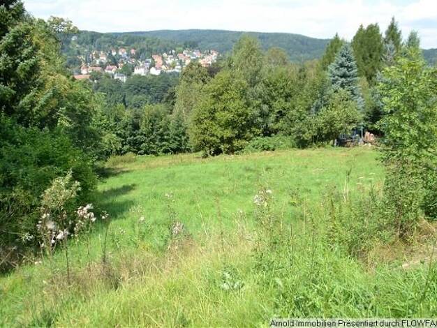 Grundstück zum Kauf als Kapitalanlage geeignet 18.000 € 1.198 m² Grundstück Sebnitz 01855