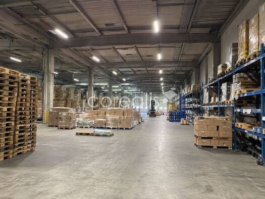 Lagerhalle zur Miete 3.400 m² Lagerfläche teilbar ab 1.100 m² Gevelsberg Gevelsberg 58285