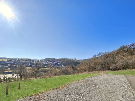 Grundstück zum Kauf 79.000 € 1.038 m² Grundstück Frohnhausen Battenberg 35088