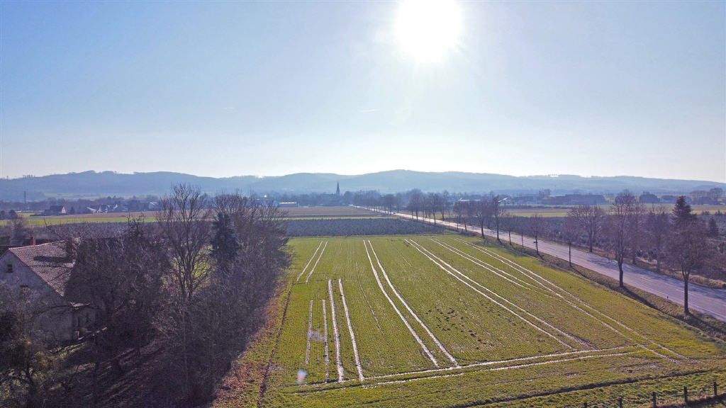 Immobilie in Lübbecke - Ehemaliges landwirtschaftliches Gebäude mit etwa 2,5 ha Land - Bild 3